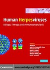 Ann Arvin, Gabriella Campadelli-Fiume, Edward Mocarski  Human Herpesviruses: Biology, Therapy, and Immunoprophylaxis