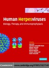 Arvin A., Campadelli-Fiume G., Mocarski E.  Human Herpesviruses: Biology, Therapy, and Immunoprophylaxis