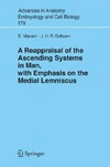 Marani E., Schoen J.H.R.  A Reappraisal of the Ascending Systems in Man, with Emphasis on the Medial Lemniscus