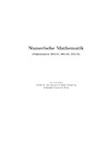 Praetorius D.  Numerische Mathematik