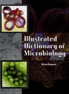 Kapoor K.  Illustrated dictionary of microbiology