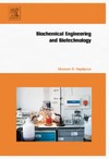 Najafpour G.  Biochemical Engineering and Biotechnology