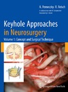 Perneczky A., Reisch R.  Keyhole Approaches in Neurosurgery. Volume 1: Concept and Surgical Technique