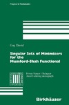 David G.  Singular sets of minimizers for the Mumford-Shah functional