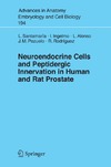 Santamaria L., Ingelmo I., Alonso L.  Neuroendocrine Cells and Peptidergic Innervation in Human and Rat Prostrate
