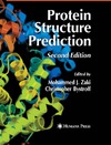 Zaki M., Bystroff C.  Protein Structure Prediction