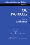 Markie D.  YAC Protocols