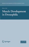 Sink H.  Muscle Development in Drosophilia