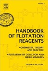 Bulatovic S.M. — Handbook of Flotation Reagents: Chemistry, Theory and Practice: Volume 2: Flotation of Gold, PGM and Oxide Minerals
