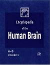 Ramachandran V.S.  Encyclopedia of the Human Brain