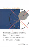 Reich S., Shoikhet D.  Nonlinear Semigroups, Fixed Points, and Geometry of Domains in Banach Spaces