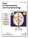Hansen J., Koeppen B.  Atlas of Neuroanatomy and Neurophysiology Selections