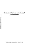 Wang P., Ichikawa Y.  Synthesis of Carbohydrates through Biotechnology