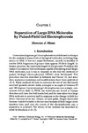 Longstaff A., Revest P.  Protocols in Molecular Neurobiology