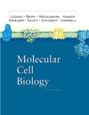 Lodish H.  Molecular Cell Biology