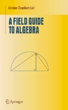 Chambert-Loir A.  A field guide to algebra