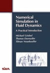 Griebel M., Dornsheifer T., Neunhoeffer T.  Numerical simulation in fluid dynamics