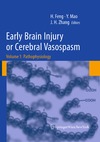 Feng H., Mao Y., Zhang J.  Early Brain Injury or Cerebral Vasospasm: Volume 1