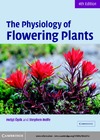 Opik H., Rolfe S., Willis A.  The Physiology of Flowering Plants