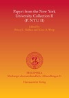 Nielsen B.E., Worp K.A.  Papyri from the New York University Collection II (P.NYU II)