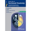 Moeller T., Reif E.  Pocket Atlas of Sectional Anatomy, Computed Tomography and Magnetic Resonance Imaing. Volume I. Head and Neck