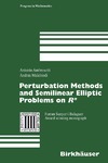 Ambrosetti A., Malchiodi A.  Perturbation Methods and Semilinear Elliptic Problems on R^N