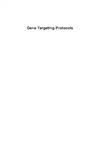 Caplen N., Kmiec E.  Gene Targeting Protocols