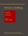 Russell D., Wilson L., Matsudaira P.  Methods in Cell Biology Volume 45 Microbes as Tools for Cell Biology