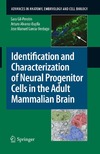 Gil-Perotin S., Alvarez-Buylla A., Garcia-Verdugo J.  Identification and Characterization of Neural Progenitor Cells in the Adult Mammalian Brain