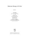 Honjo T., Alt F., Neuberger M.  Molecular Biology of B Cells