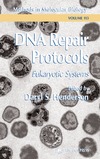 Henderson D.S.  DNA Repair Protocols, Eukaryotic Systems