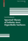 Borthwick D.  Spectral Theory of Infinite-Area Hyperbolic Surfaces