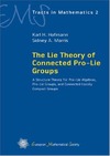 Hofmann K., Morris S.  The Lie Theory of Connected Pro-Lie Groups