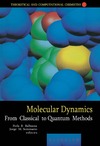 Balbuena P., Seminario J.M.  Molecular Dynamics: From Classical to Quantum Methods