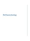 Papazoglou E., Parthasarathy A.  BioNanotechnology