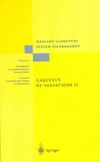 Giaquinta M., Hildebrandt S.  Calculus of variations II