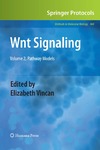 Vincan E.  Wnt Signaling.Volume 2.Pathway Models.