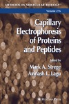 Strege M., Lagu A.  Capillary Electrophoresis Electrospray Ionization Mass Spectrometry Of Amino Acids, Peptides, And Proteins