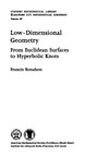 Bonahon F.  Low-dimensional geometry: From Euclidean surfaces to hyperbolic knots