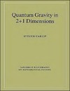 Carlip S.  Quantum gravity in 2+1 dimensions