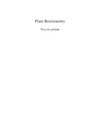 Hans-Walter Heldt, Birgit Piechulla  Plant Biochemistry, Fourth Edition