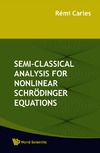 Carles R.  Semi-classical Analysis For Nonlinear Schrodinger Equations
