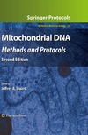 J. A. Stuart  Mitochondrial DNA: Methods and Protocols (Methods in Molecular Biology)