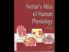 John T. Hansen, Bruce M. Koeppen  Netter's Atlas of Human Physiology