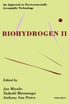 Miyake J., Matsunaga T., San Pietro A.G.  Biohydrogen II: An Approach to Environmentally Acceptable Technology