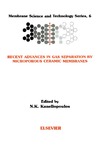 Kanellopoulos N.  Recent advances in gas separation by microporous ceramic membranes