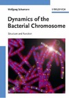 Schumann W.  Dynamics of the Bacterial Chromosome - Structure and Function