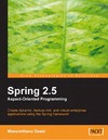 Dessi M.  Spring 2.5 Aspect Oriented Programming