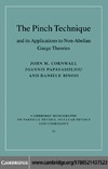 Cornwall J., Papavassiliou J., Binosi D.  The Pinch Technique and its Applications to Non-Abelian Gauge Theories
