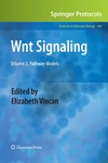 Vincan E.  Wnt Signaling: Volume 2, Pathway Models (Methods in Molecular Biology)